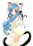   blush catgirl lace long_hair skirt tail  