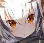  :o animal_ears black_jacket blush eyebrows_visible_through_hair fur greatmosu grey_hair jacket kemono_friends northern_white-faced_owl_(kemono_friends) orange_eyes third-party_source white_hair 