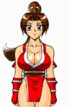  brown_eyes brown_hair cleavage king_of_fighters kof large_breasts long_hair shiranui_mai snk 