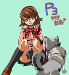  animal bow brown_eyes brown_hair dog koromaru panties persona persona_3 school_uniform smile takeba_yukari 