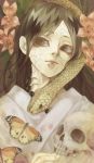  1boy brown_hair butterfly flower kingdom long_hair miika seikai_(kingdom) skull snake 