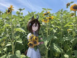  1girl alternate_costume animal_ears blue_sky bright_pupils brown_hair closed_mouth cowboy_shot crossed_arms day dress ear_covers feather_hair_ornament feathers field flower flower_field from_side hair_between_eyes hair_ornament highres holding holding_flower horse_ears horse_girl horse_tail kumunatsu long_hair looking_at_viewer mismatched_ear_covers multicolored_eyes multicolored_hair outdoors photo_background sky smile solo stay_gold_(umamusume) streaked_hair sunflower sunflower_field tail umamusume violet_eyes white_dress white_streaks 