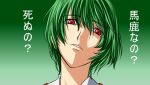  1girl face green_hair head_tilt kazami_yuuka red_eyes samuimu short_hair solo touhou translation_request 