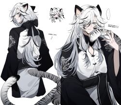  1boy absurdres animal_ears black_streaks blue_eyes chinese_clothes commentary_request hair_over_one_eye hair_ribbon hair_tie highres long_hair looking_at_viewer mugimeshi_(midorimugi008) multicolored_hair original ribbon solo standing streaked_hair tail tangzhuang tiger tiger_boy tiger_ears tiger_stripes tiger_tail white_background white_hair white_tiger 