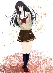  1girl arms_behind_back black_hair blue_socks brown_shirt closed_mouth commentary_request falling_petals full_body grey_sweater hibike!_euphonium highres kitauji_high_school_uniform kneehighs kousaka_reina kxltl loafers long_hair long_sleeves looking_at_viewer neckerchief petals pleated_skirt red_neckerchief sailor_collar school_uniform serafuku shirt shoes simple_background skirt socks solo standing sweater violet_eyes white_background white_sailor_collar winter_uniform 