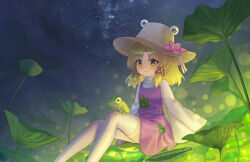  1girl absurdres animal_print blonde_hair brown_hat chinese_commentary closed_mouth commentary_request frog frog_print hair_ribbon hat highres long_sleeves looking_at_viewer moriya_suwako night purple_skirt purple_vest red_ribbon ribbon sitting skirt smile solo star_(sky) thigh-highs toorooo touhou tress_ribbon vest white_thighhighs wide_sleeves yellow_eyes 