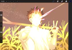  1boy black_hair carrying_over_shoulder chinese_commentary commentary_request corn_field false_memory fireworks glowing grey_jacket he_mingshuo highres holding holding_fireworks holding_stick jacket liang_yue male_focus night open_clothes open_jacket outdoors shirt sleeves_rolled_up smile sparkler spiky_hair stick unfinished v white_shirt 