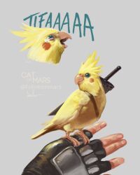  1boy 1girl animalization artist_name bird bird_on_hand black_gloves blue_eyes buster_sword character_name cloud_strife cockatiel crying crying_with_eyes_open english_commentary feathers felineonmars final_fantasy final_fantasy_vii final_fantasy_vii_rebirth final_fantasy_vii_remake fingerless_gloves fingernails gloves grey_background hand_focus multiple_views open_mouth signature sword sword_on_back tears tifa_lockhart twitter_username weapon weapon_on_back yellow_bird yellow_feathers 