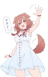  1girl :d animal_collar animal_ears arm_up armpits bare_arms bone_hair_ornament braid breasts brown_eyes brown_hair brown_tail button_dress cartoon_bone collar dog_ears dog_girl dog_tail double-parted_bangs dress extra_ears fangs hair_between_eyes hair_ornament hair_over_shoulder hairclip highres hololive inugami_korone inugami_korone_(1st_costume) long_hair looking_at_viewer low_twin_braids medium_breasts open_mouth parallel_hairclips red_collar ryuga_(balius) simple_background sleeveless sleeveless_dress smile solo speech_bubble tail teeth translation_request twin_braids upper_teeth_only virtual_youtuber waving white_background white_dress 