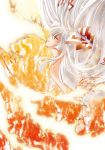  2girls bird closed_eyes fire floating_hair fujiwara_no_mokou hair_ribbon long_hair multiple_girls phoenix profile ribbon rindou_matsuri side silver_hair touhou 