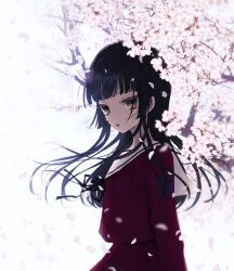  1girl ai_tanaka black_eyes black_hair cherry_blossoms commentary_request engawa_(osstbti) flower highres hime_cut long_hair mahou_shoujo_ikusei_keikaku mahou_shoujo_ikusei_keikaku_black petals pleated_skirt purple_skirt sailor_collar school_uniform skirt 