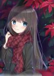  1girl blue_eyes blush brown_hair flower jacket long_hair maigo_(neko) original scarf solo 