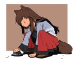  1girl animal_ears bowl brown_hair imaizumi_kagerou long_hair onikobe_rin skirt solo sukuna_shinmyoumaru tail touhou wide_sleeves wolf_ears wolf_tail 