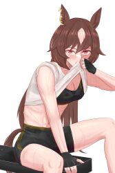  1girl absurdres animal_ears black_bra bra brown_hair chinese_commentary fingerless_gloves gloves highres horse_ears horse_girl horse_tail muscular muscular_female red_eyes sirius_symboli_(umamusume) sitting sports_bra sweat tail umamusume underwear wiping_sweat xelnoth 