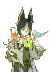  1boy animal_ear_fluff animal_ears animal_on_shoulder bespectacled bird bird_on_hand bird_on_shoulder black_hair brown_eyes closed_mouth coat fox_boy fox_ears game_asset genshin_impact glasses green_streaks grey_coat hand_up highres holding holding_scroll long_sleeves looking_at_animal male_focus medium_hair monocle multicolored_hair non-web_source official_alternate_costume official_art scroll self-datamine simple_background smile solo streaked_hair tighnari_(genshin_impact) tighnari_(tabletop_troupe)_(genshin_impact) transparent_background upper_body 
