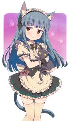  1girl animal animal_ear_fluff animal_ears apron back_bow bell black_bow black_bowtie black_cat black_corset black_skirt black_wrist_cuffs blue_hair blunt_bangs blush bow bowtie cat cat_ears cat_tail closed_mouth corset dot_nose dress_bow feet_out_of_frame footprints frilled_apron frilled_shirt frilled_skirt frills hair_bow holding holding_animal holding_cat idolmaster idolmaster_cinderella_girls jingle_bell long_hair looking_at_viewer maid maid_headdress michii_yuuki miniskirt neck_bell pink_bow purple_background red_eyes sajo_yukimi shirt short_sleeves skirt smile solo standing tail thigh-highs waist_apron white_apron white_background white_bow white_shirt wrist_cuffs yellow_thighhighs zettai_ryouiki 