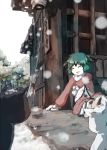  1girl against_wall animal_ears broom cat closed_eyes green_hair kasodani_kyouko long_sleeves mittens parted_lips reaching_out reclining scarf shadow short_hair sign snow snowing solo tategaki touhou tree 