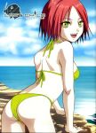  1girl bikini green_eyes highres hijiri_(lost_child) lost_child_(game) open_mouth red_hair redhead smile solo swimsuit water 