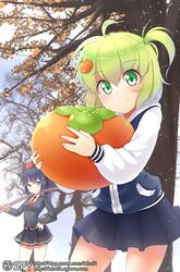  2girls blue_eyes blue_hair bokken food fruit green_eyes green_hair hair_ornament hairclip jacket long_hair multiple_girls necktie original ponytail short_hair side_ponytail skirt smile sword tree tvhot2 weapon wooden_sword 