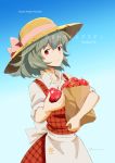  1girl apple bow cover cover_page food fruit green_hair hasegawa_keita hat hat_bow kazami_yuuka plaid plaid_vest red_eyes solo touhou 