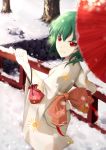  green_hair kazami_yuuka kimono parasol red_eyes snow touhou umbrella 