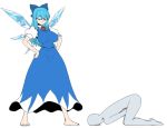  1boy 1girl barefoot blue_dress blue_eyes blue_hair bow breasts cirno dress faceless faceless_male femdom flat_color hair_bow hands_on_hips ice ice_wings large_breasts long_dress long_hair older pain solo_focus space_jin top-down_bottom-up touhou tsurime wings 