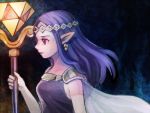  a_link_between_worlds bone_(stare) cape earrings gloves jewelry long_hair nintendo pointy_ears princess_hilda purple_hair staff the_legend_of_zelda violet_eyes 