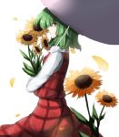  1girl flower green_hair kazami_yuuka neko-hime_(neko-hime) parasol petals red_eyes skirt skirt_set solo sunflower touhou umbrella 