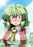  1girl apron ascot blue_sky blush bust clouds commentary_request green_hair highres kazami_yuuka looking_at_viewer open_mouth open_vest red_eyes shirt shocked_eyes sky solo sweat touhou tsuki_wani waist_apron 