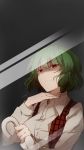 1girl bust closed_umbrella commentary fourth_wall green_eyes highres kazami_yuuka looking_at_viewer open_vest pose red_eyes reflection shaded_face shirt shuzi solo touhou umbrella 