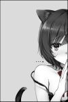  ... 1girl absurdres animal_ears blush cat_ears cat_tail highres looking_at_viewer monochrome short_hair simple_background solo strap_slip tail takeuchi_aya 