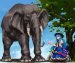 blue_hair elephant food fruit hat hinanawi_tenshi long_hair long_skirt peach shiba_murashouji sitting skirt solo touhou