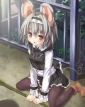  1girl 5240mosu alternate_costume animal_ears black_legwear blush broom grey_hair hairband heart heart-shaped_pupils highres long_sleeves looking_at_viewer mouse_ears mouse_tail nazrin open_mouth pantyhose red_eyes short_hair sitting solo symbol-shaped_pupils tail touhou wariza 