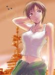  1girl ace_combat ace_combat_5 airplane black_hair brown_eyes clothes_around_waist evening fighter_jet jacket_around_waist jet kei_nagase midriff navel short_hair sig_(sotokanda_delta_force) solo tank_top 