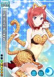  1girl animal_ears bikini cat_ears cat_tail character_name love_live!_school_idol_project nishikino_maki official_art red_hair redhead short_hair smile solo tail violet_eyes 