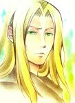  1boy blonde_hair green_eyes highres kingdom_hearts kurotennsi long_hair pointy_ears solo vexen 