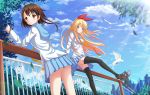  2girls bird black_legwear blonde_hair blue_eyes bow brown_eyes brown_hair cat hair_bow highres kazenokaze key kirisaki_chitoge long_hair multiple_girls nisekoi onodera_kosaki pigeon school_uniform serafuku short_hair skirt thighhighs very_long_hair zettai_ryouiki 