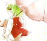  1girl from_behind green_hair kazami_yuuka plaid plaid_vest red_eyes short_hair six_(fnrptal1010) solo touhou umbrella 