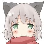  1girl animal_ears blush cat_ears dust_box green_eyes looking_at_viewer sanya_v_litvyak scarf short_hair silver_hair smile solo strike_witches 