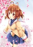  1girl brown_eyes brown_hair cherry_blossoms clannad flower furukawa_nagisa iris_yayoi school_uniform serafuku short_hair 