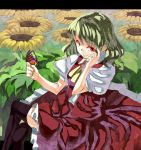  black_legwear butterfly butterfly_on_hand colored_eyelashes crossed_legs dress flower from_above green_hair hand_on_own_face kazami_yuuka looking_up nail_polish red_eyes ry_ysd short_hair sitting skirt skirt_set smile sunflower thighhighs touhou vest yasumo_(kuusouorbital) 