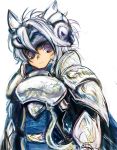  armor cat_ears doraeshi final_fantasy final_fantasy_xi mithra purple_eyes violet_eyes white_hair 