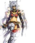  arm_warmers armor boots cat_ears cat_tail doraeshi dual_wield dual_wielding final_fantasy final_fantasy_xi fingerless_gloves gloves mithra ninja sword tail thigh-highs thigh_boots thighhighs weapon white_hair 