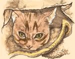  animal_ears cat cat_ears taw traditional_media whiskers yellow_eyes 