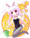 bunny_ears bunnysuit flat_chest hoshikuzu original pantyhose rabbit_ears solo 