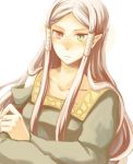  1girl crossed_arms fire_emblem fire_emblem:_fuuin_no_tsurugi green_eyes heterochromia idoun long_hair pointy_ears purple_hair red_eyes serina_ranshi solo white_background 