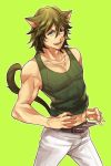 1boy animal_ears cat_ears cat_tail green_hair kemonomimi_mode kill_la_kill mojya sanageyama_uzu solo tail 