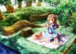  1girl apple blanket brown_eyes brown_hair cup dog dress food fruit grass hair_ribbon long_hair moyashi_n0_mori nature original picnic picnic_basket ribbon river smile socks solo teacup tree tree_stump 