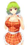  1girl apron blush breasts cleavage green_hair highres kazami_yuuka large_breasts looking_at_viewer naked_apron red_eyes short_hair simple_background smile solo touhou white_background x&amp;x&amp;x 