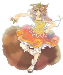  1girl animal_ears bloomers brown_eyes brown_hair futatsuiwa_mamizou glasses gourd heta_0211_sokoku highres leaf leaf_on_head maple_leaf pince-nez raccoon_ears raccoon_tail sandals smile tabi tail touhou underwear 